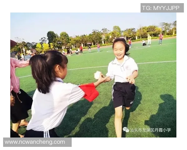 杨伟独家分享羽毛球技巧与心得助你提升竞技水平与乐趣